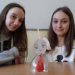 PROJEKT EDUKACYJNY: ORGANIZM – MECHANIZM