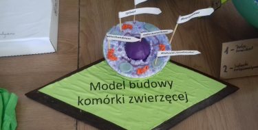 PROJEKT EDUKACYJNY ,,KOMÓRKA 3D”