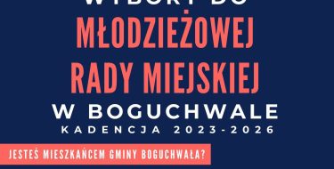 Wybory do Młodzieżowej Rady Miejskiej w Boguchwale